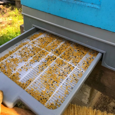 Pyłek kwiatowy 2025 - 500g