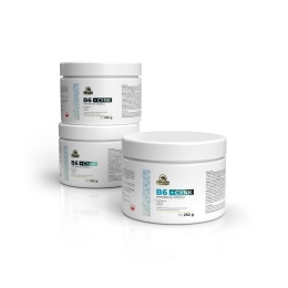 Witamina B6+cynk wsparcie mózgu 252g