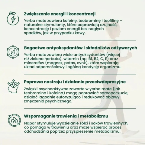 YERBA MATE – OWOCE TROPIKALNE