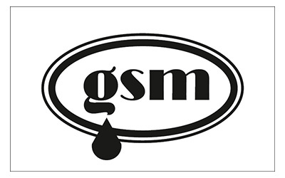 gsm.jpg